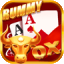 rummy xyz